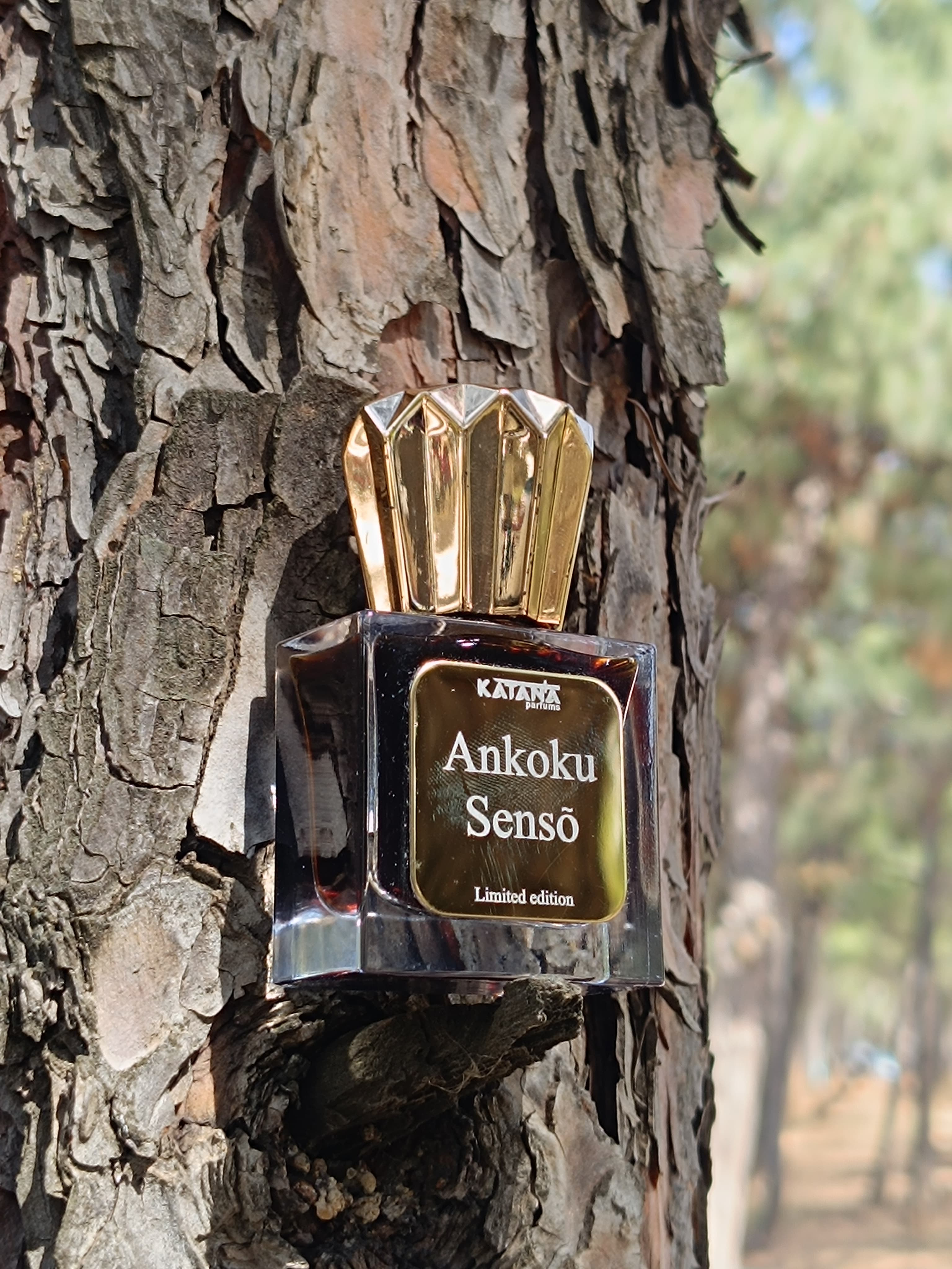 Ankoku sensõ